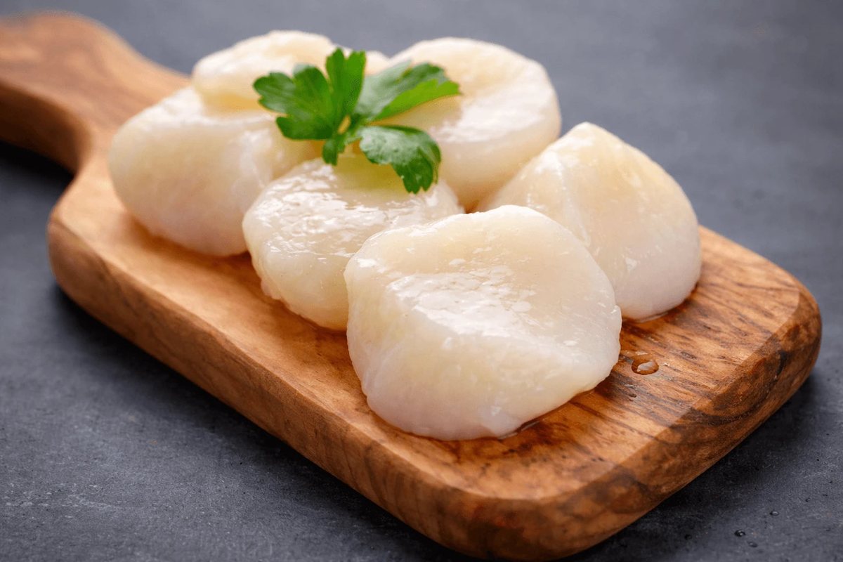 4'lü Scallob (Deniz Tarağı) Japonya