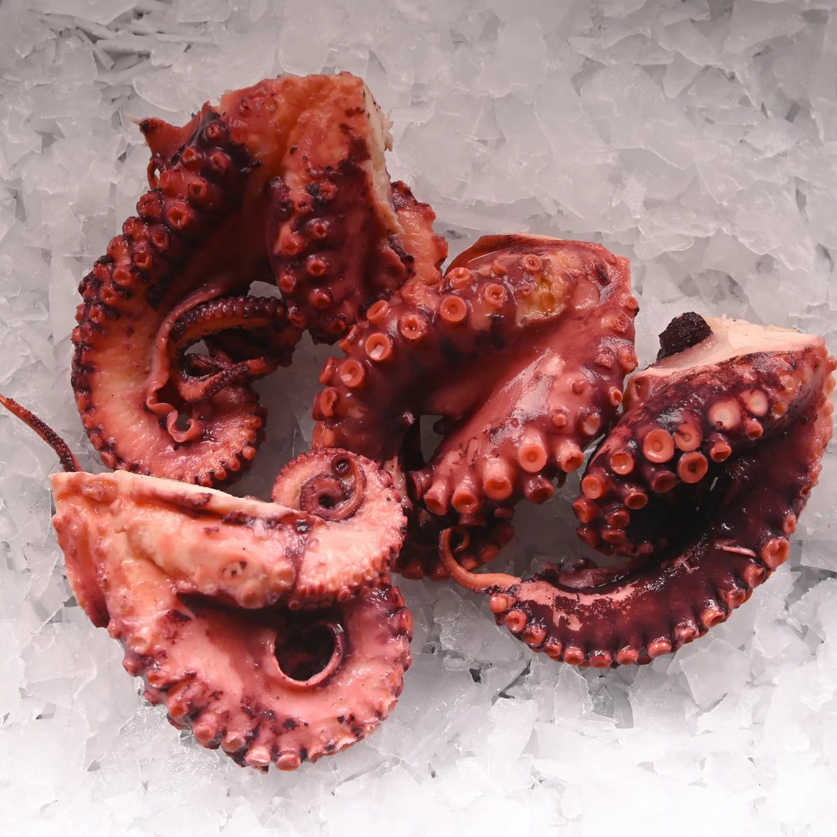 Ahtapot Kol 1 Kg (Marine Edilmiş Ürün)