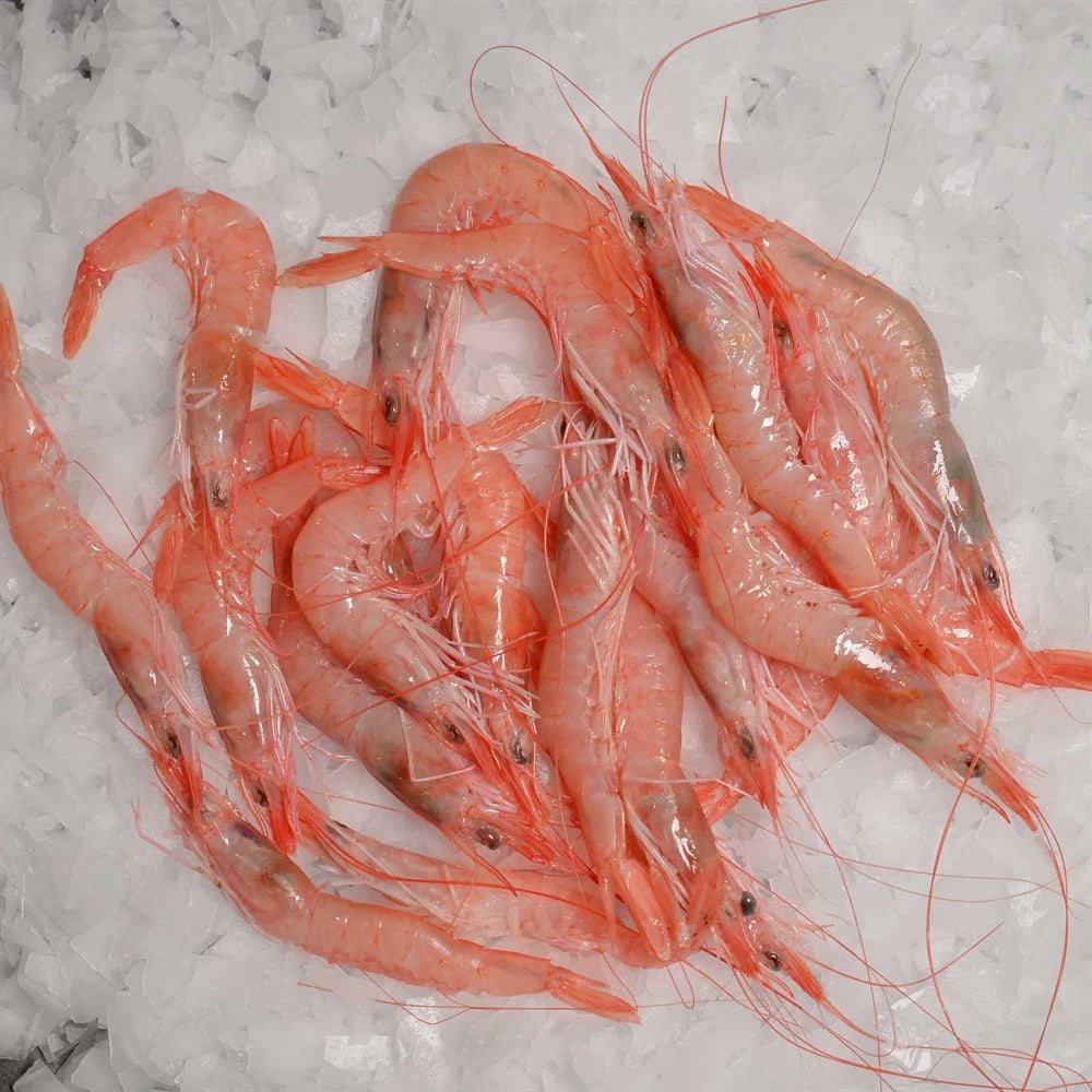 Çimçim Karides 3 Kg Kasa